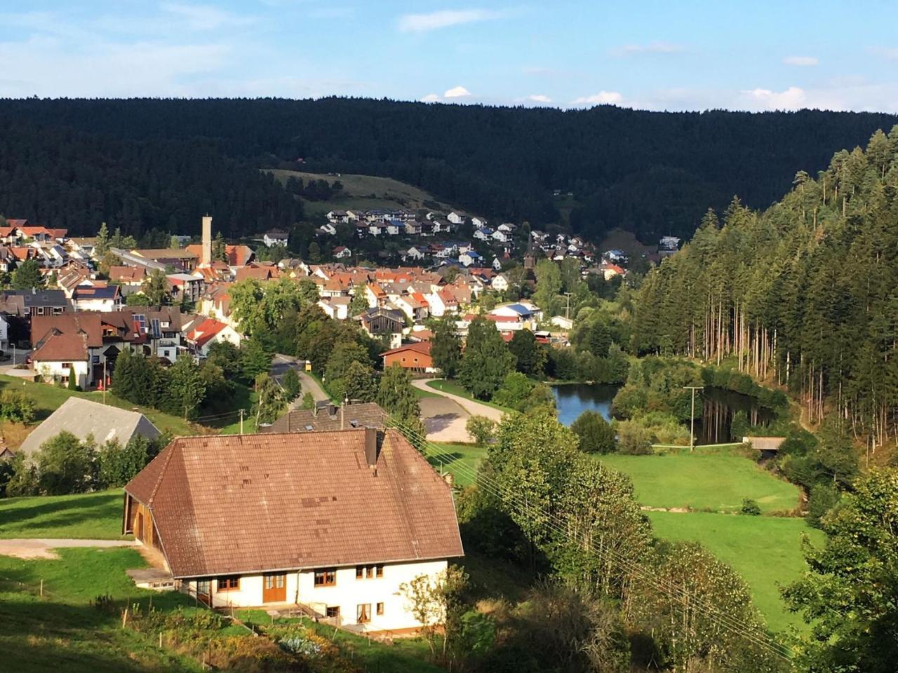 Schwarzwaldgasthaus Linde Шрамберг Екстериор снимка