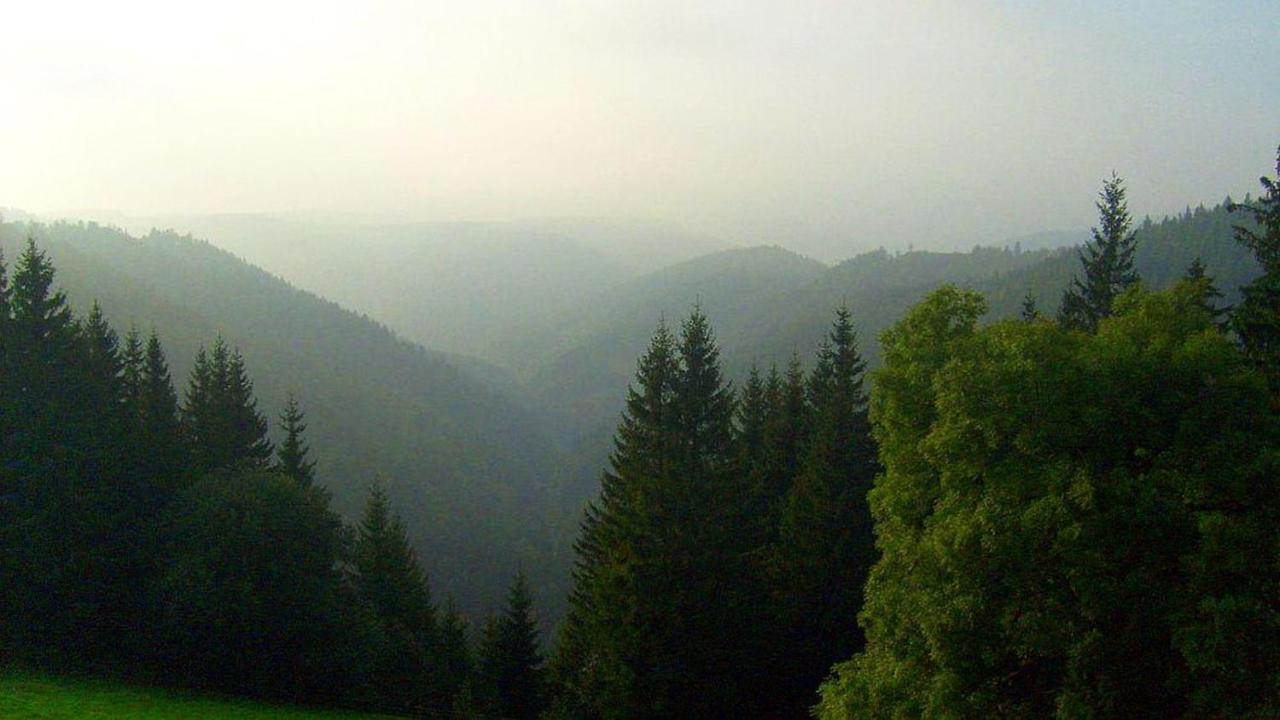 Schwarzwaldgasthaus Linde Шрамберг Екстериор снимка